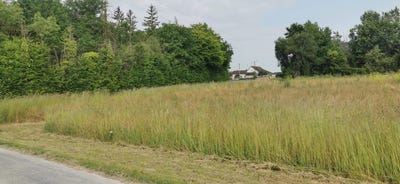 /international/fr/sainte-maure-centre-val-de-loire-310100041125/