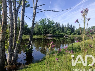 /international/fr/champnetery-limousin-310108421332/