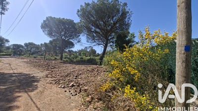 /international/fr/le-cannet-des-maures-provence-alpes-cote-d-azur-310108003601/