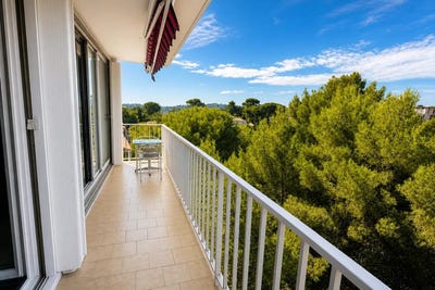 /international/fr/toulon-provence-alpes-cote-d-azur-310109233454/