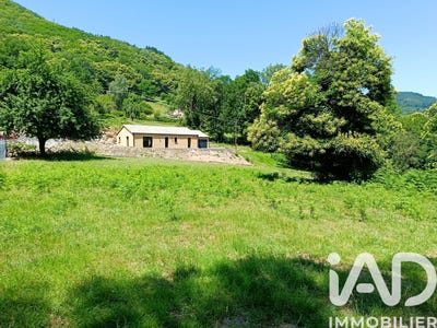 /international/fr/montoulieu-midi-pyrenees-310108949378/