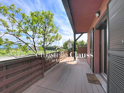 /international/fr/pfaffenheim-alsace-310106709778/