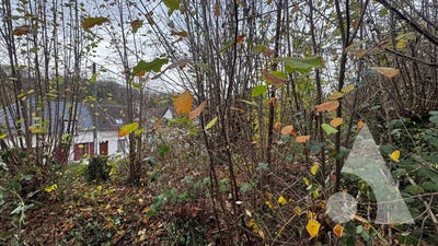 /international/fr/crepy-en-valois-picardie-310103645309/