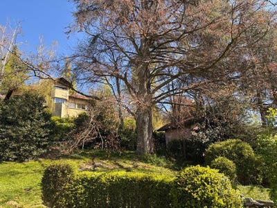 /international/fr/la-cote-saint-andre-rhone-310105308575/