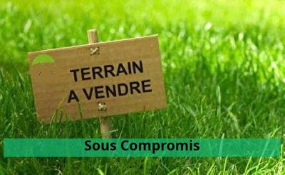 /international/fr/toulouse-midi-pyrenees-310101849791/