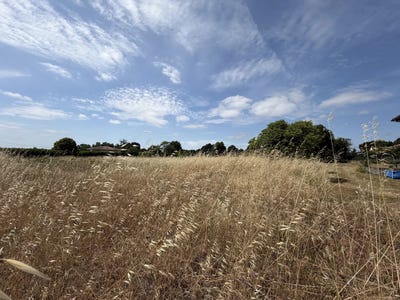 /international/fr/saint-ciers-sur-gironde-aquitaine-310108812933/
