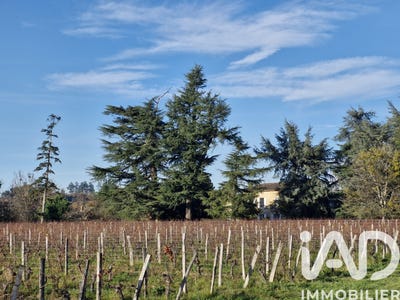 /international/fr/saint-magne-de-castillon-aquitaine-310106966212/