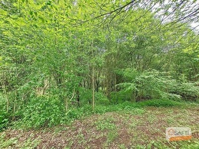 /international/fr/brece-pays-de-la-loire-310100460736/