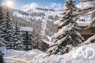 /international/fr/vars-provence-alpes-cote-d-azur-310106827353/