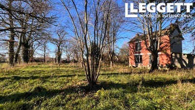/international/fr/saint-loup-burgundy-310108668134/