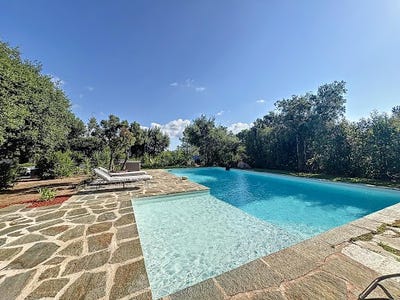 /international/fr/porto-vecchio-corsica-310098639074/