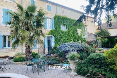 /international/fr/felines-termenes-languedoc-roussillon-310108429765/