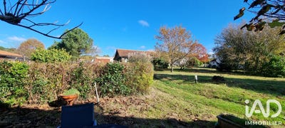 /international/fr/belin-beliet-aquitaine-310109074886/