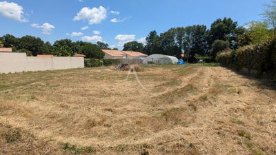 /international/fr/la-boissiere-des-landes-pays-de-la-loire-310104463549/