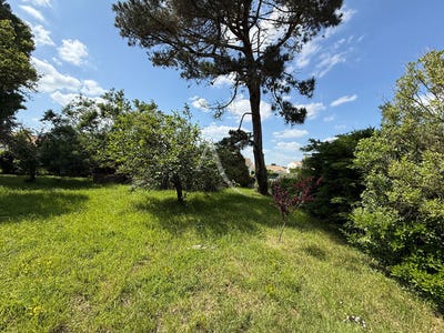 /international/fr/givrand-pays-de-la-loire-310108775936/