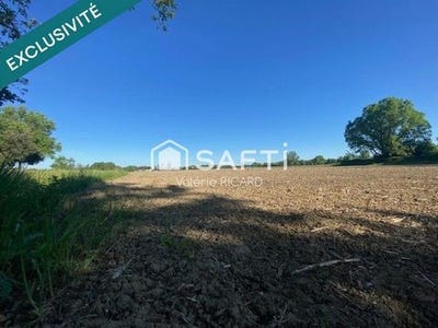 /international/fr/negrepelisse-midi-pyrenees-310105371712/