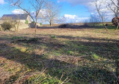 /international/fr/saint-peravy-la-colombe-centre-val-de-loire-310106579719/