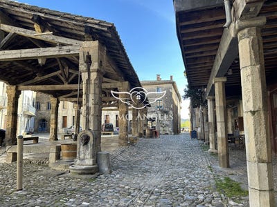 /international/fr/lagrasse-languedoc-roussillon-310106606824/