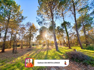 /international/fr/gujan-mestras-aquitaine-310103765532/