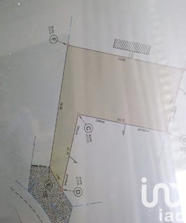 /international/fr/lesparre-medoc-aquitaine-310099654249/