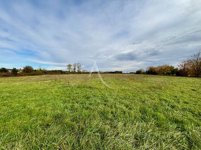 /international/fr/soings-en-sologne-centre-val-de-loire-310104464017/
