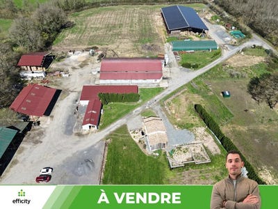 /international/fr/sommieres-du-clain-charente-310106627864/