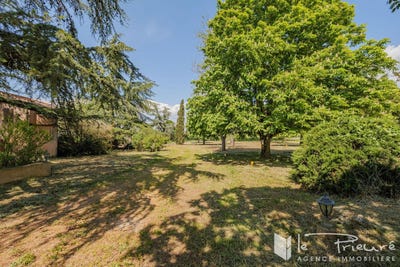 /international/fr/albi-midi-pyrenees-310102346403/