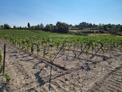 /international/fr/lezignan-corbieres-languedoc-roussillon-310101375039/?lang=en