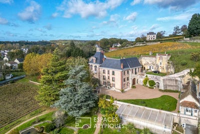 /international/fr/vernou-sur-brenne-centre-val-de-loire-310099362112/