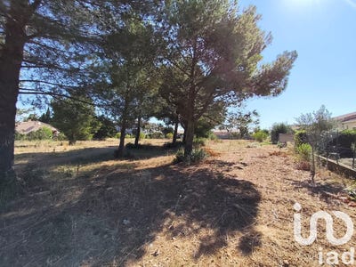 /international/fr/lezignan-corbieres-languedoc-roussillon-310101279451/