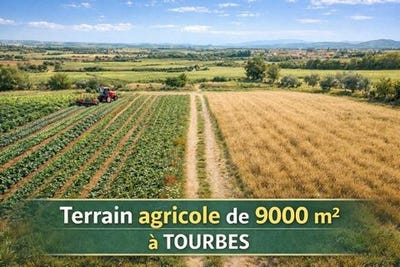 /international/fr/tourbes-languedoc-roussillon-120097941451/