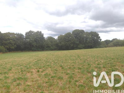 /international/fr/royeres-limousin-310104225725/