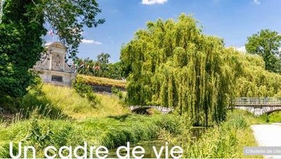 /international/fr/lambersart-calais-310106188955/