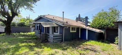 /international/fr/panjas-midi-pyrenees-310108648813/