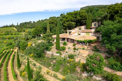 /international/fr/suzette-hh-15432904-suzette-provence-alpes-cote-d-azur-310101469269/