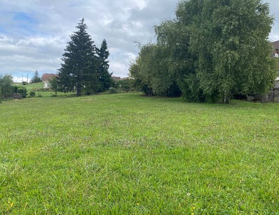 /international/fr/lons-le-saunier-franche-comte-310106967801/