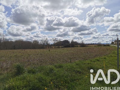 /international/fr/monsegur-aquitaine-310106934570/