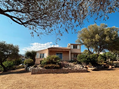 /international/fr/figari-corsica-310109864438/