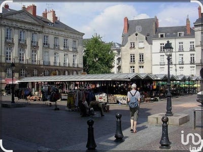 /international/fr/nantes-pays-de-la-loire-310101225850/