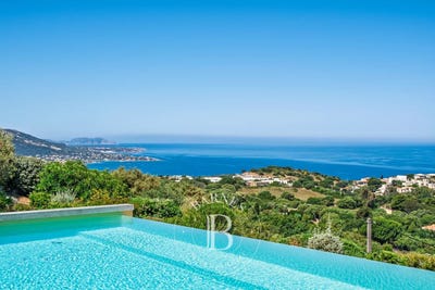 /international/fr/corbara-corsica-310108764003/