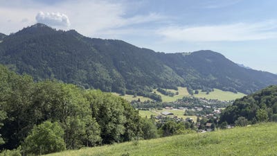 /international/fr/bernex-rhone-310109245620/