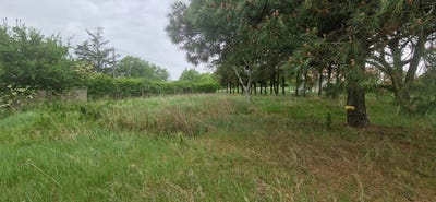/international/fr/saint-rustice-midi-pyrenees-310100960382/?lang=zh-tw