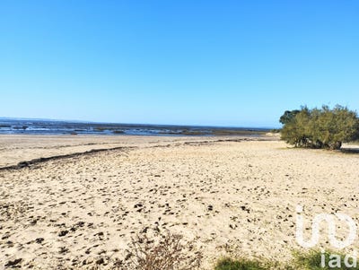 /international/fr/lanton-aquitaine-310100367594/?lang=fr