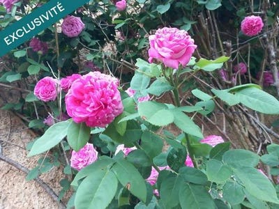 /international/fr/montcey-franche-comte-310108186922/
