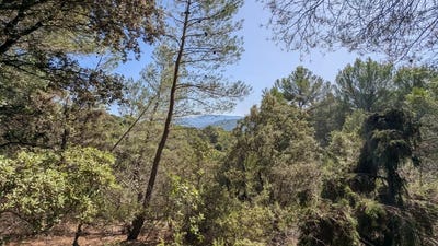 /international/fr/brunet-provence-alpes-cote-d-azur-310101229258/