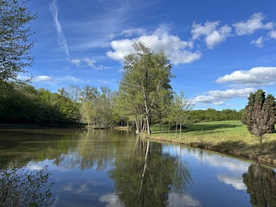/international/fr/chatelus-malvaleix-limousin-310107744215/