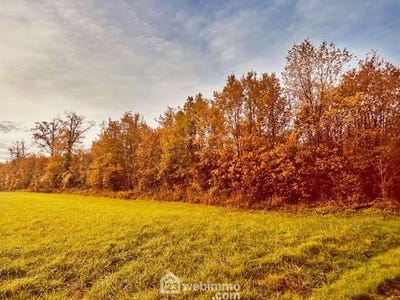 /international/fr/le-terrier-celle-levescault-charente-310103541128/