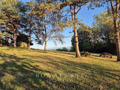 /international/fr/jurancon-aquitaine-310120009269/