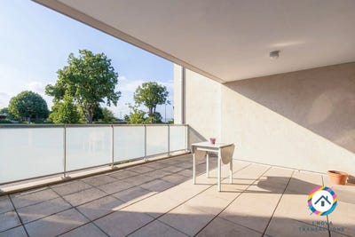 /international/fr/arnas-rhone-310105343110/