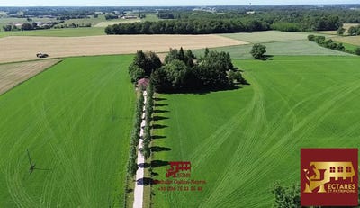 /international/fr/curciat-dongalon-rhone-310101949703/